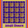 2048 Ayılar